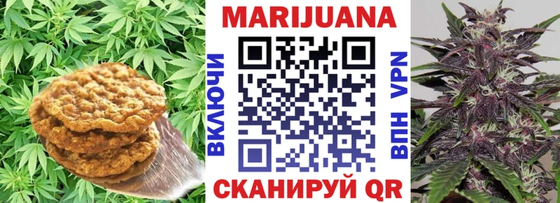 Cannafood конопля  Купить где  Заинск 