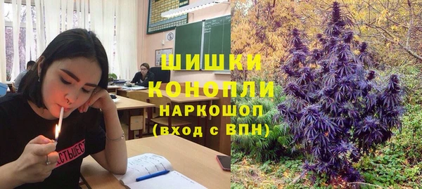 спиды Сафоново