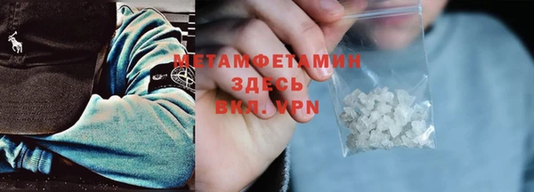 прущие грибы Слюдянка