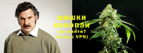 гашик Ростов