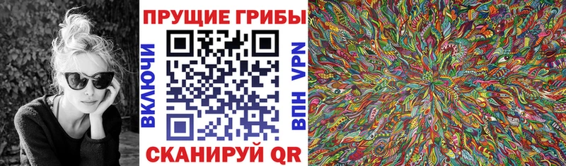 Галлюциногенные грибы Magic Shrooms  Купить где  Заинск 